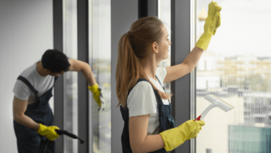 How to Properly Clean and Maintain Your Windows for Better Clarity