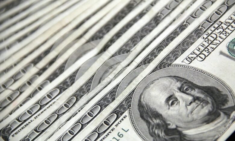 hsbc multicap investment fund