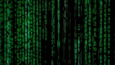 phone number breakdown details