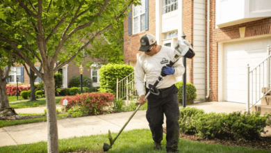 The Secret to Lawn Edges That Look Professionally Done