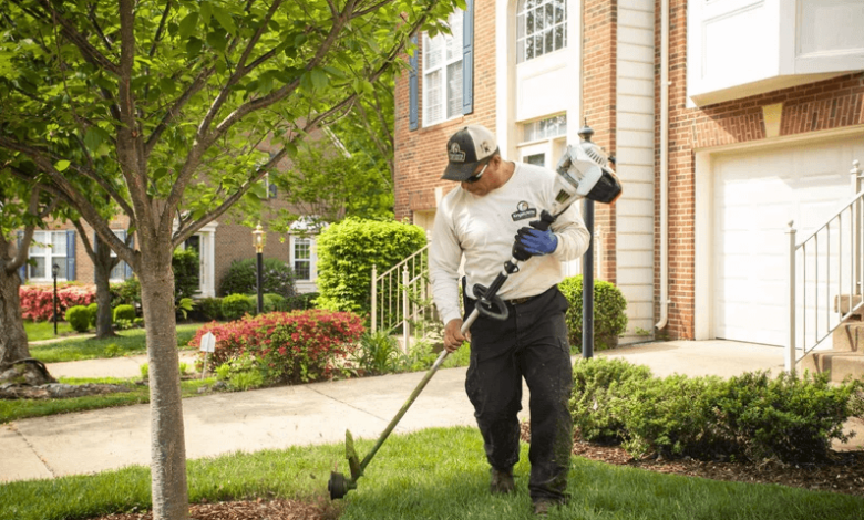 The Secret to Lawn Edges That Look Professionally Done