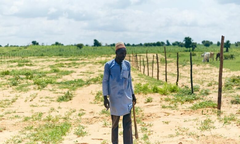 linkedin strategies for businesses