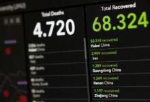 comprehensive update on 800 number