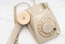 professional corporate contact information verified