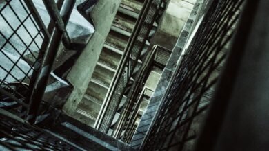 vertex surge growth orbit 920011038