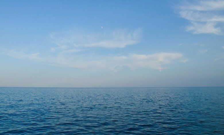 xpert horizon digital expansion plugin