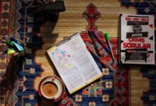what is 4233267442 guide for beginners